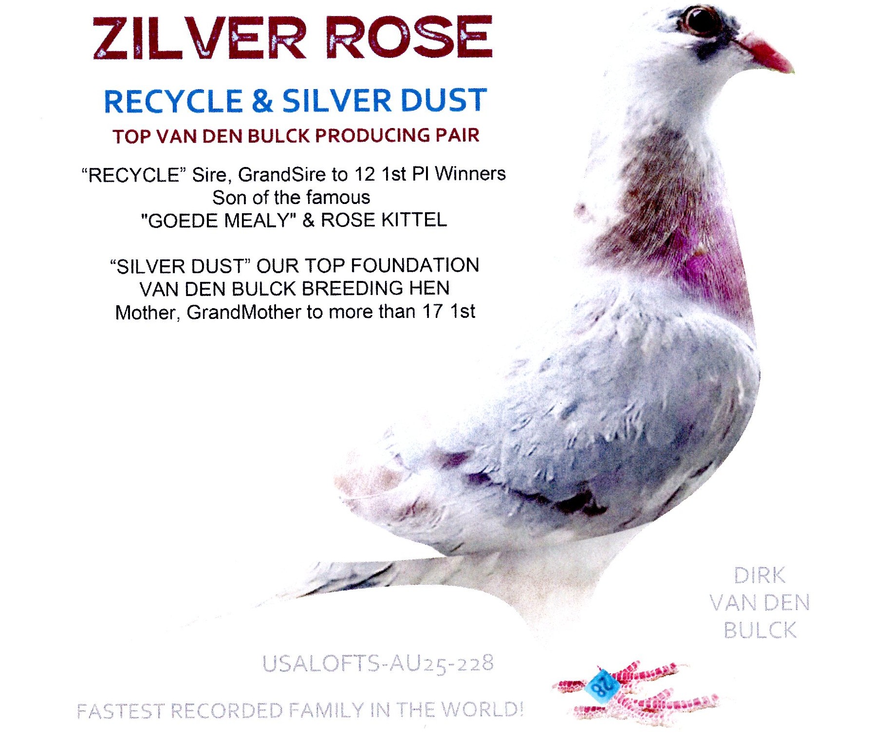 AU-2025-USALOFTS-228-SILVER SPL-HEN