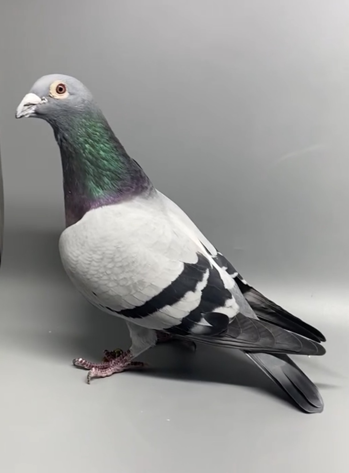 6th Average Speed Crooked River OLR