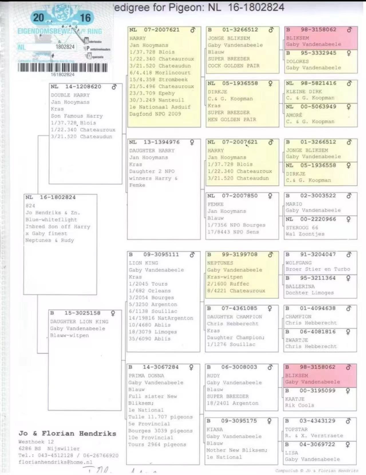 Preview Image 3