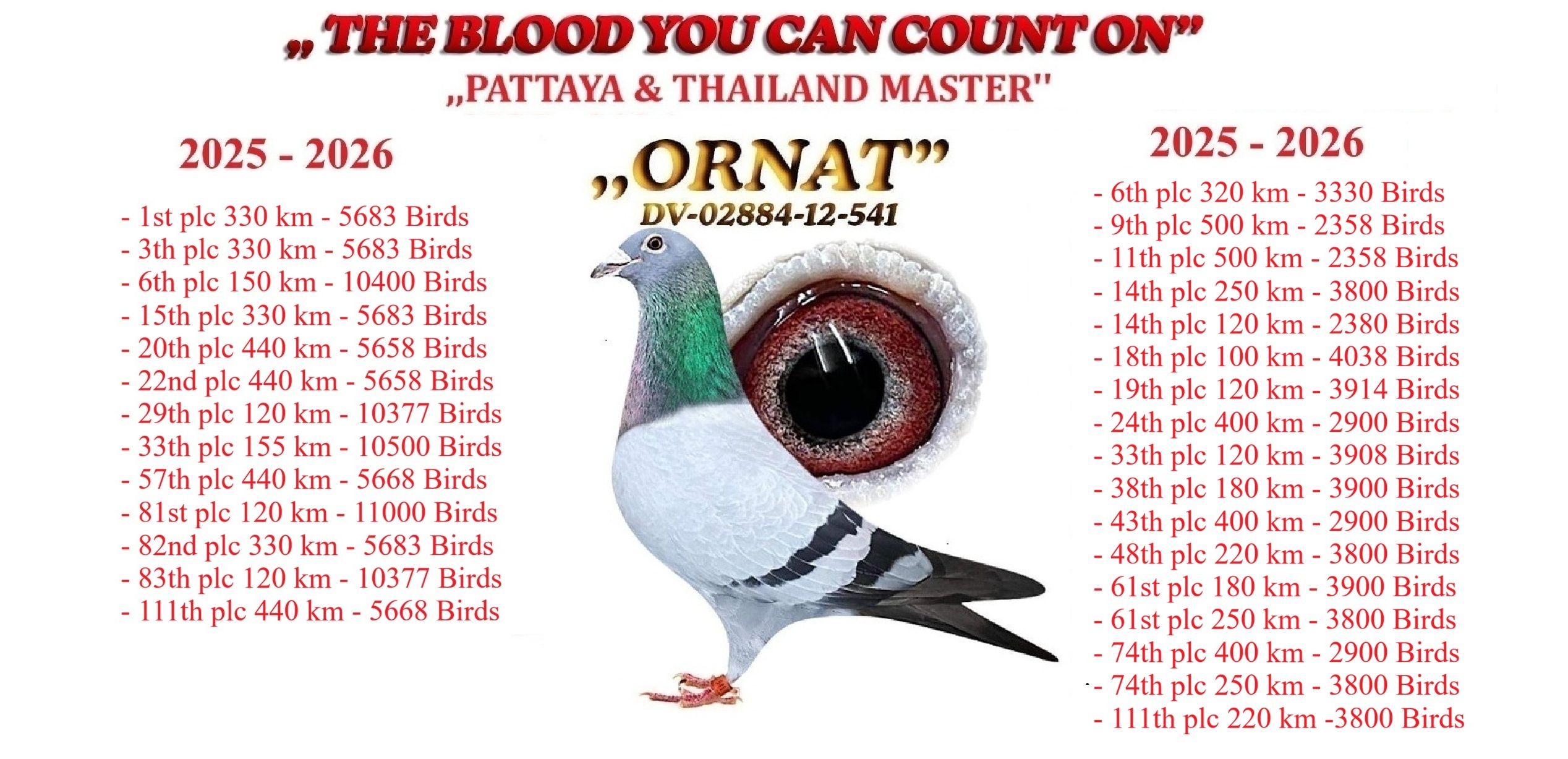 ,,ORNAT