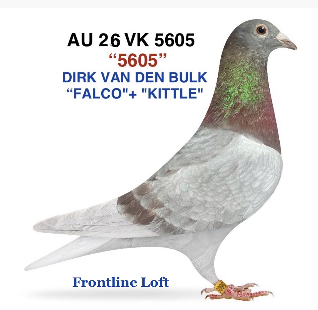 DIRK VAN DEN BULK "FALCO"+ "KITTEL”