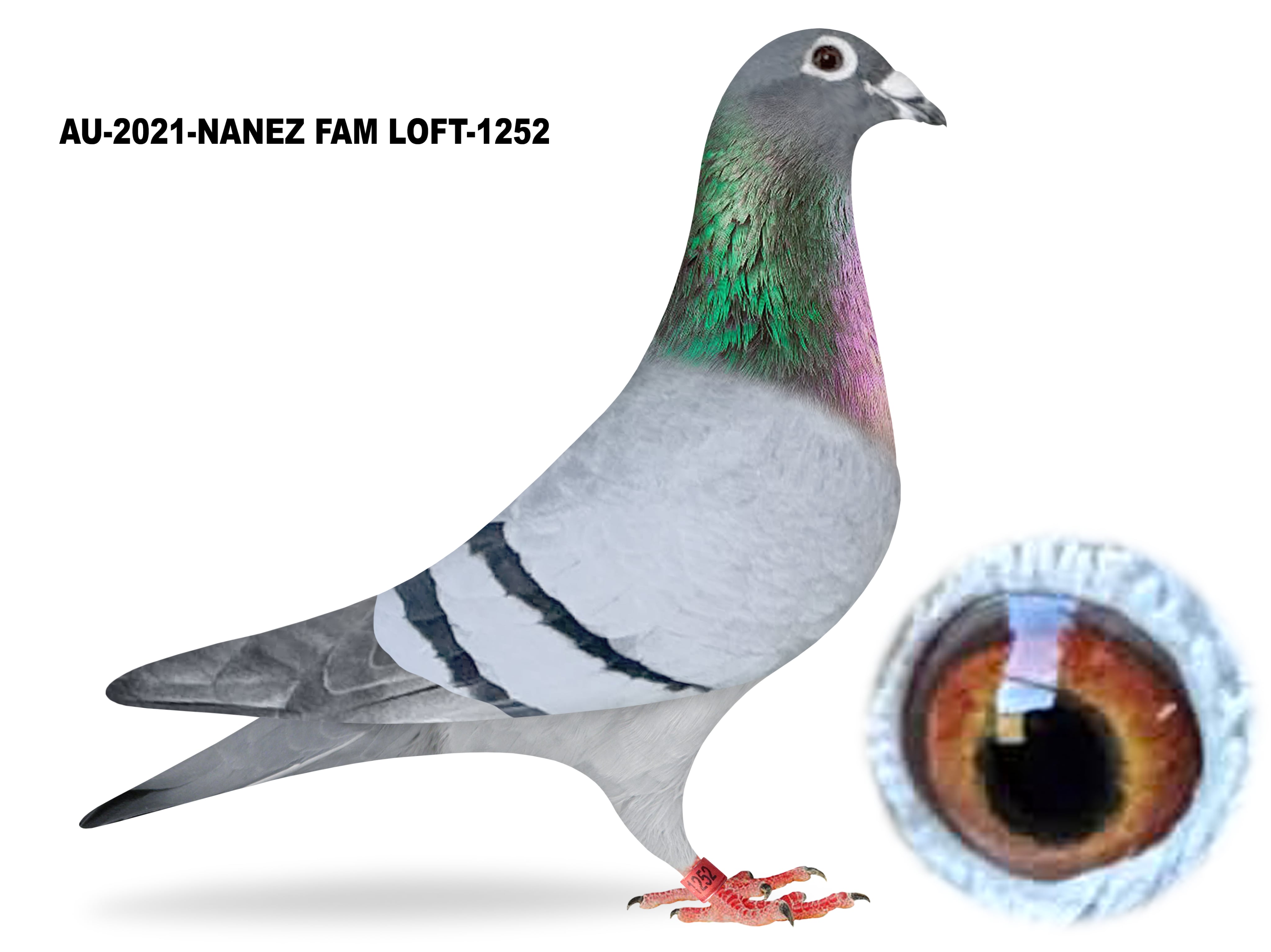 Donated by Keith LaJack