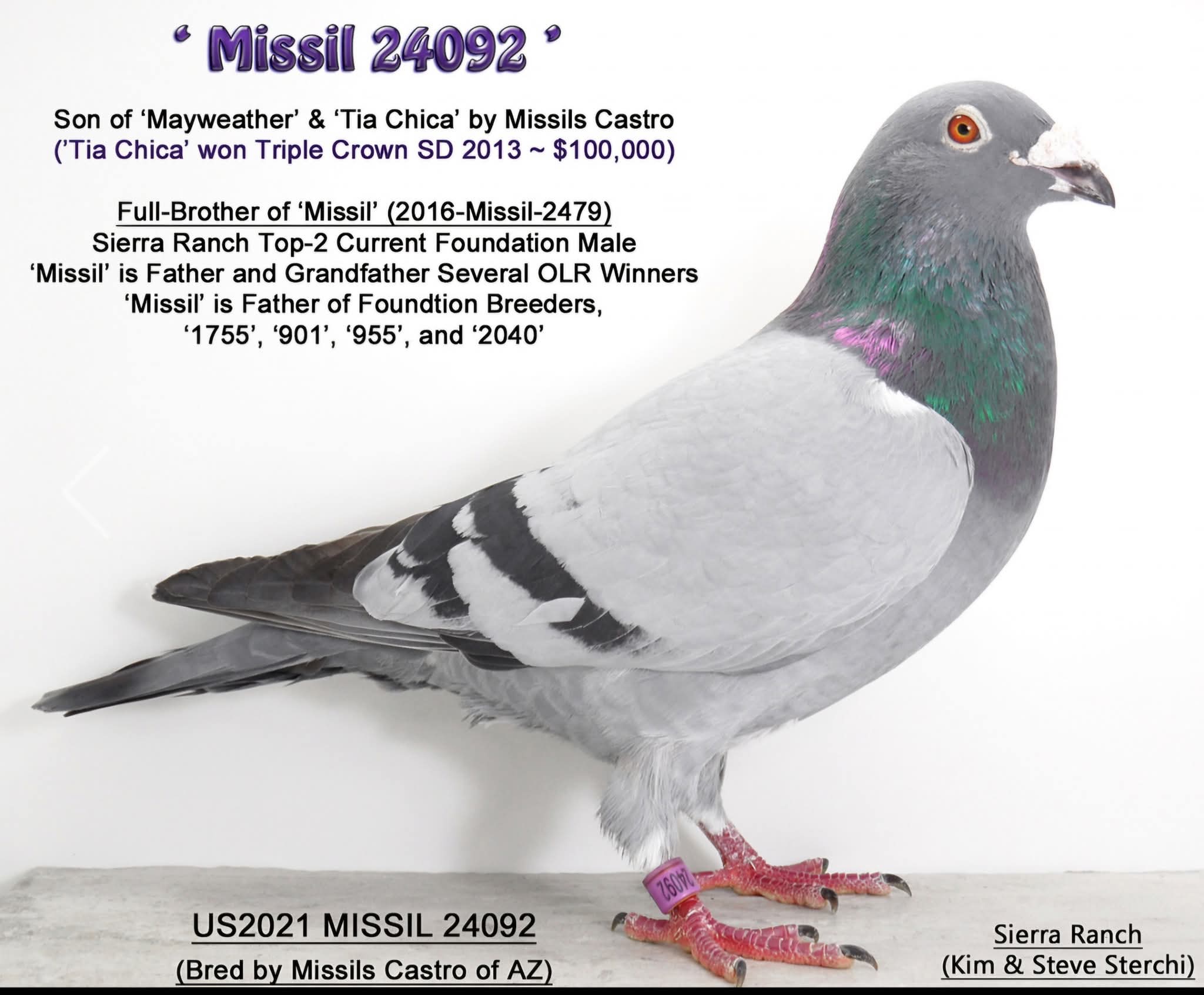 Direct from Missils Castro Foundation PAIR 