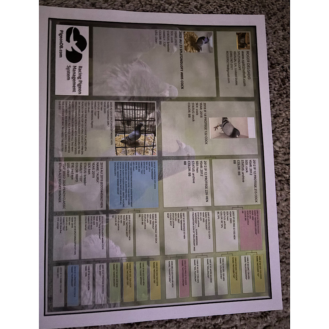 Blue bar 720’ cock