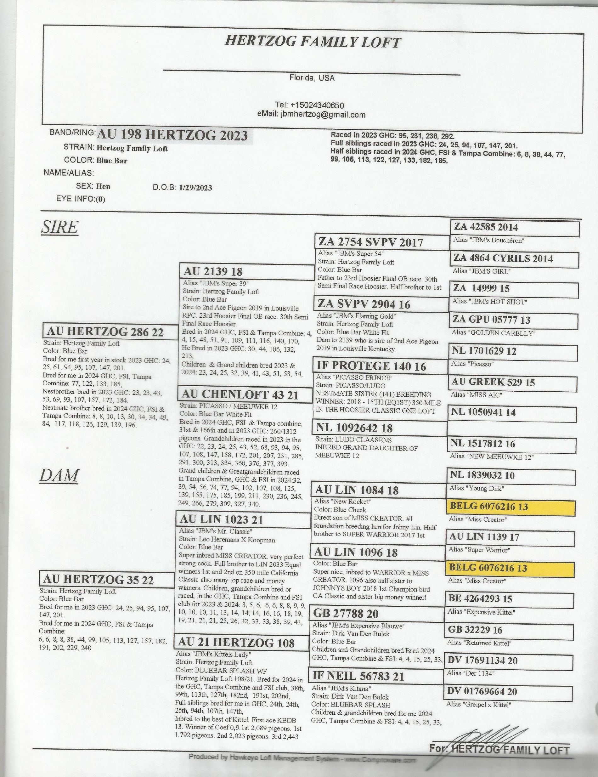 ipigeon-racing-pigeon-auction