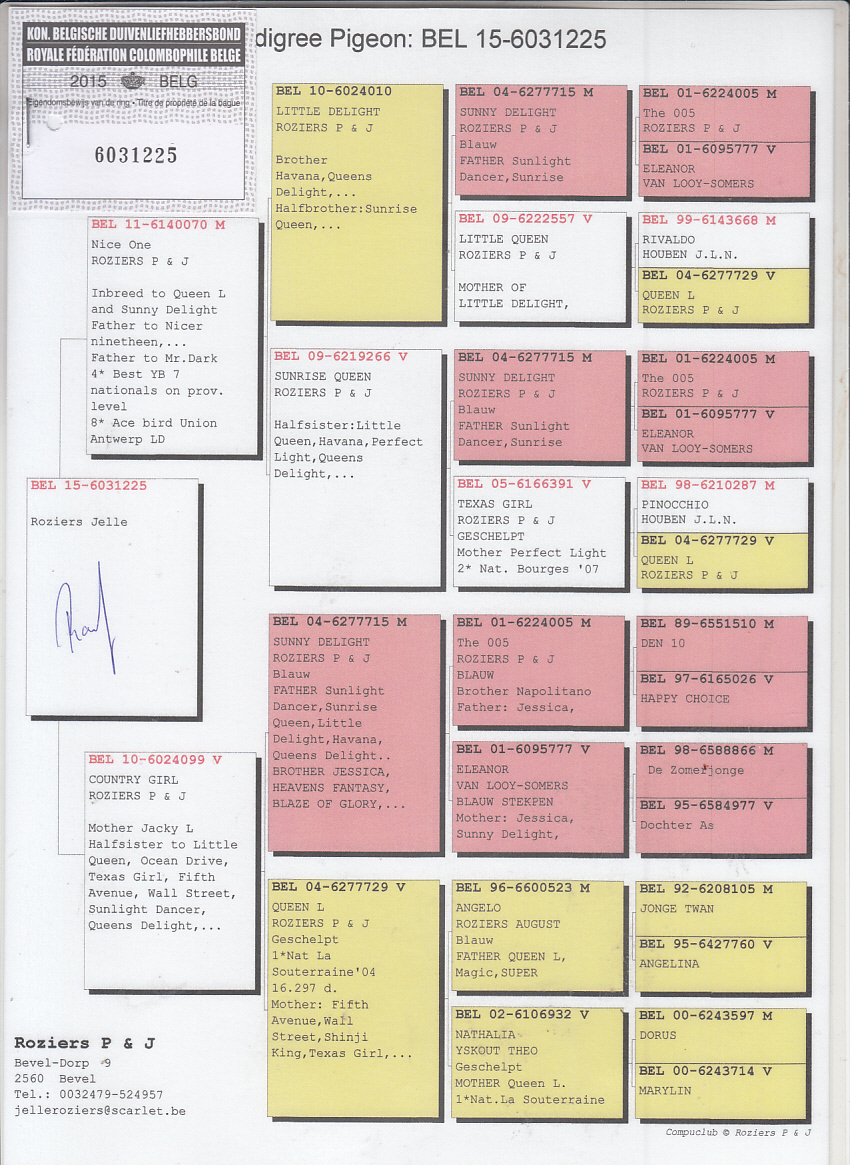 25-151(Hen) PORSCHE 911 x Roziers