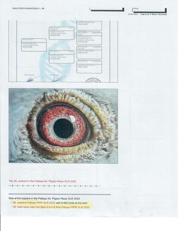 Preview Image 5