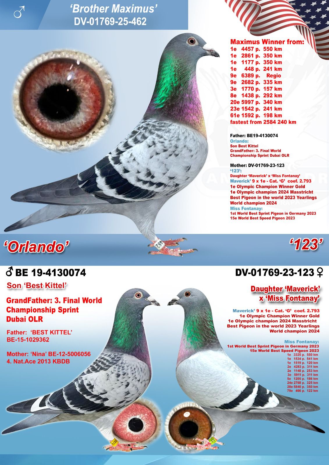 Preview Image 2