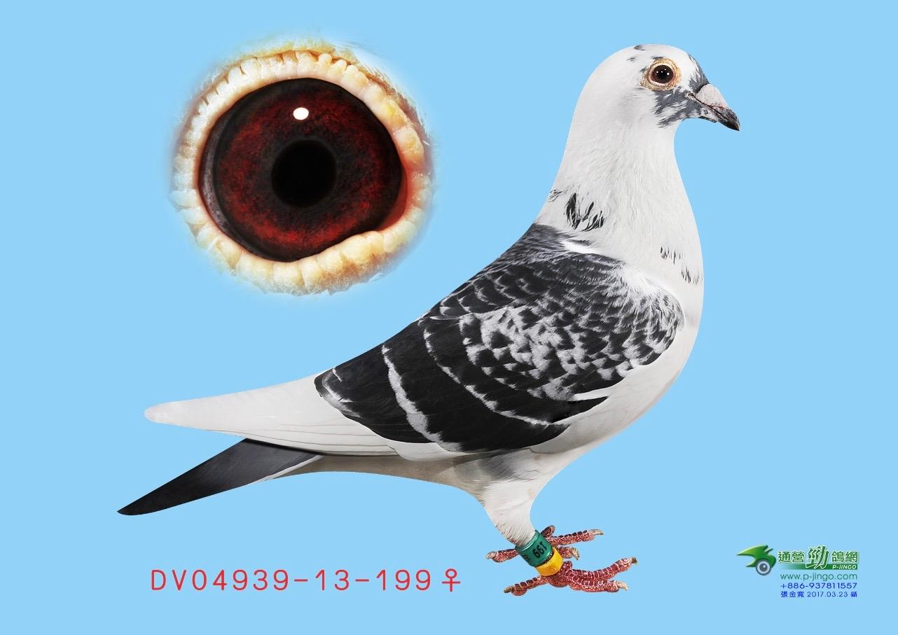 Preview Image 6