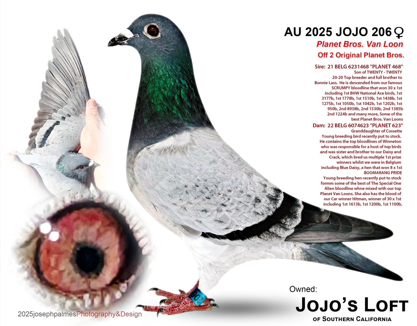 AU 2025 JOJO 206 Planet Bros. Van Loon