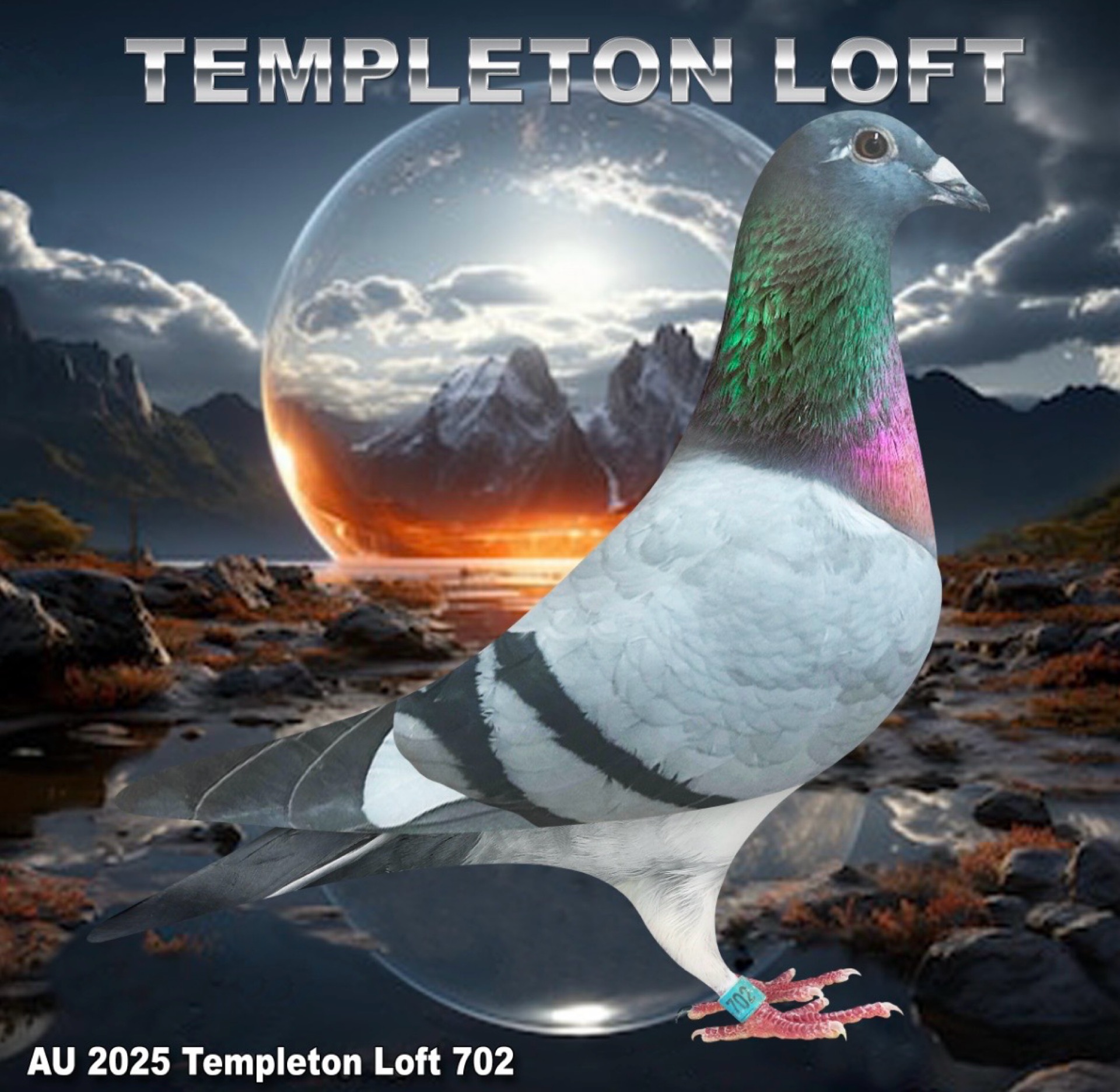 Templeton loft 2025/702 FULL DNA