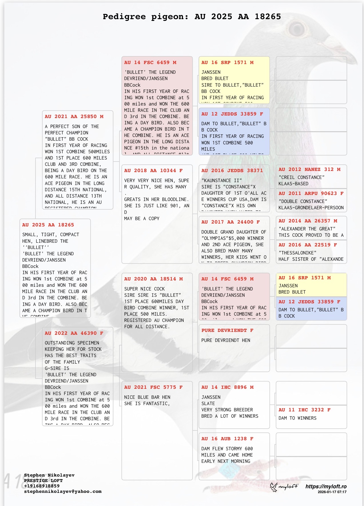 Preview Image 2