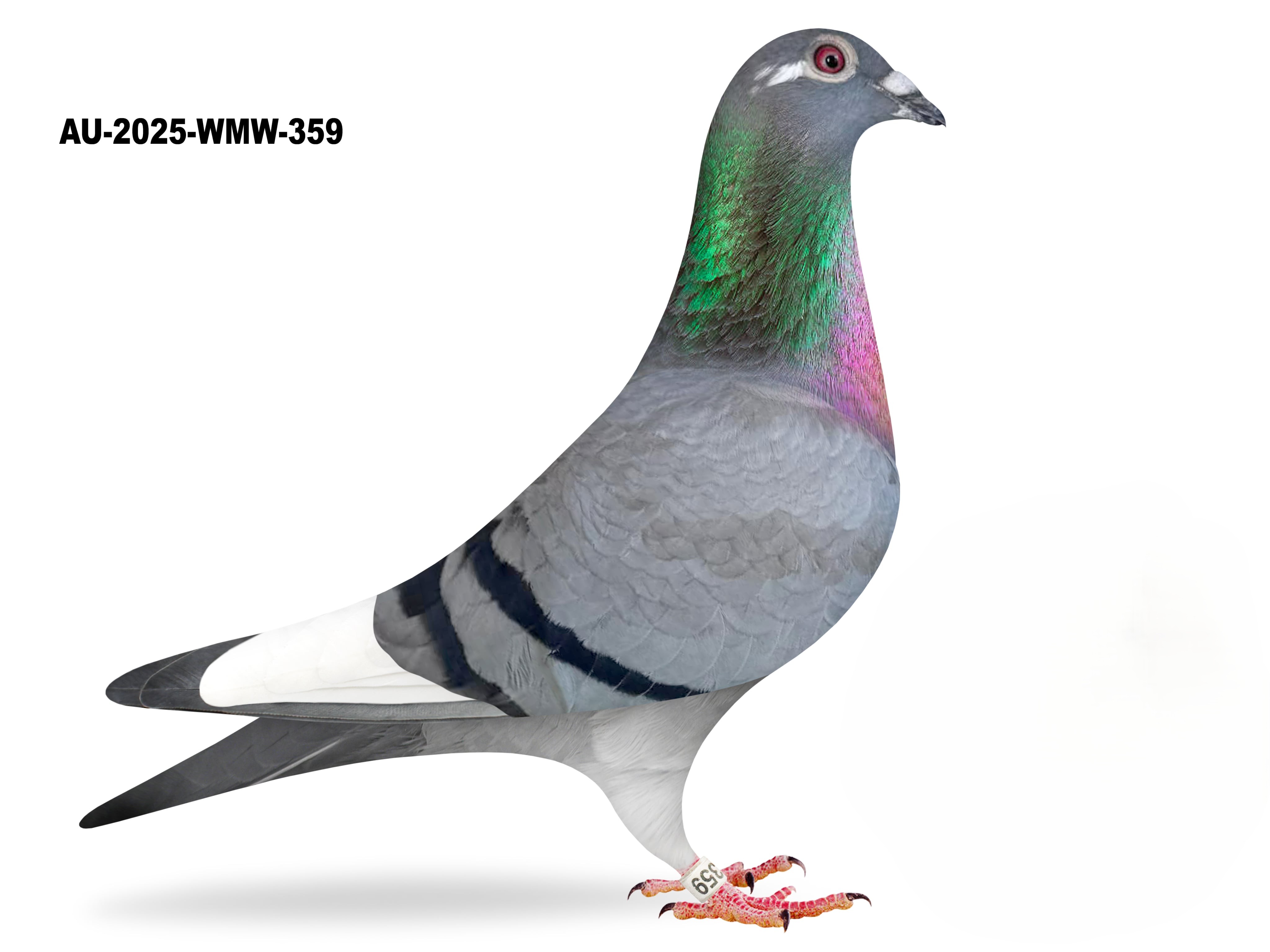 Donated by Mike Westfall