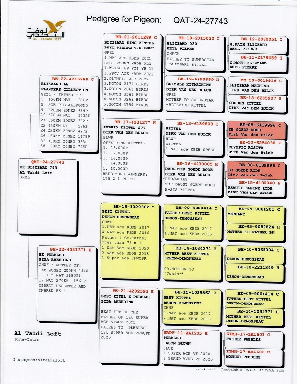 Preview Image 7