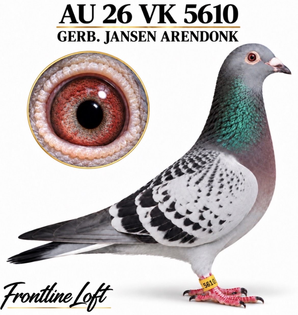 GERB. JANSEN ARENDONK
