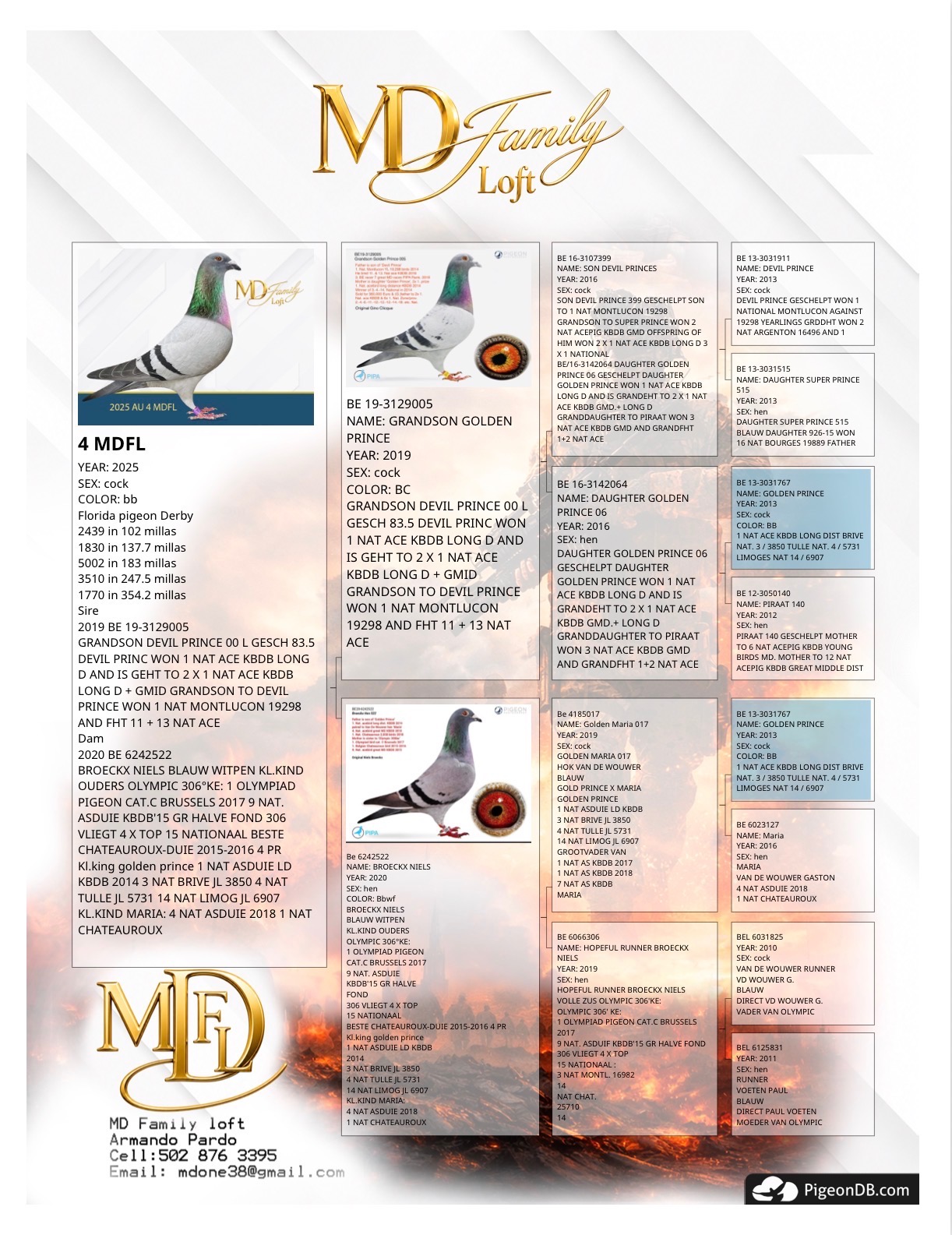 Preview Image 2
