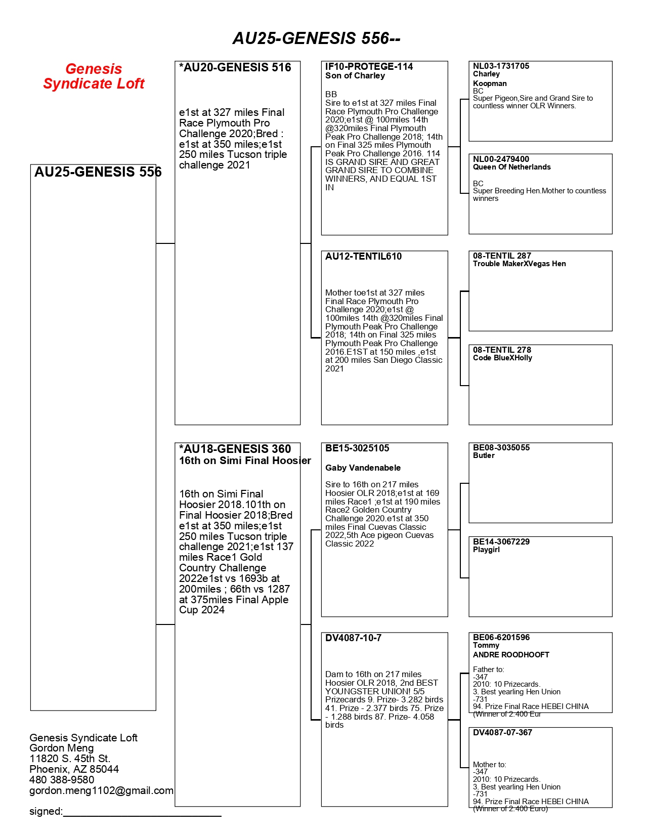AU25-556(Cock) OLR Top Bloodline