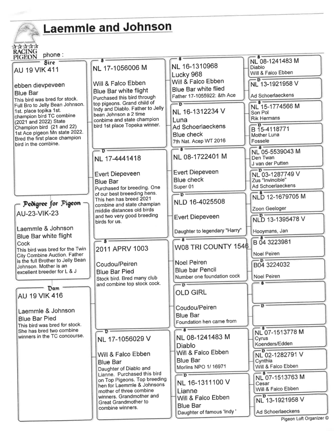 IPigeon Racing Pigeon Auction ipigeon-racing-pigeon-auction