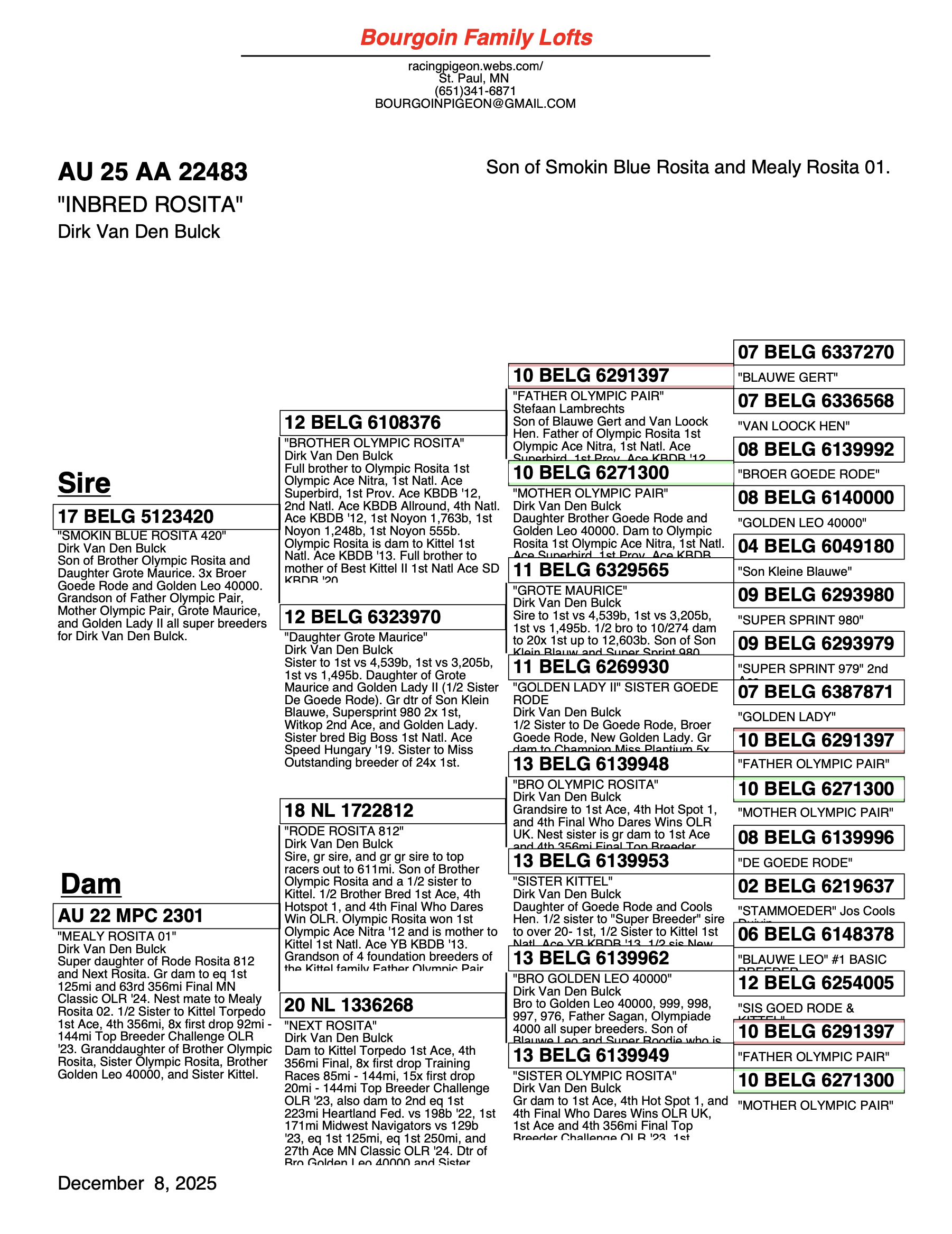 INBRED OLYMPIC ROSITA