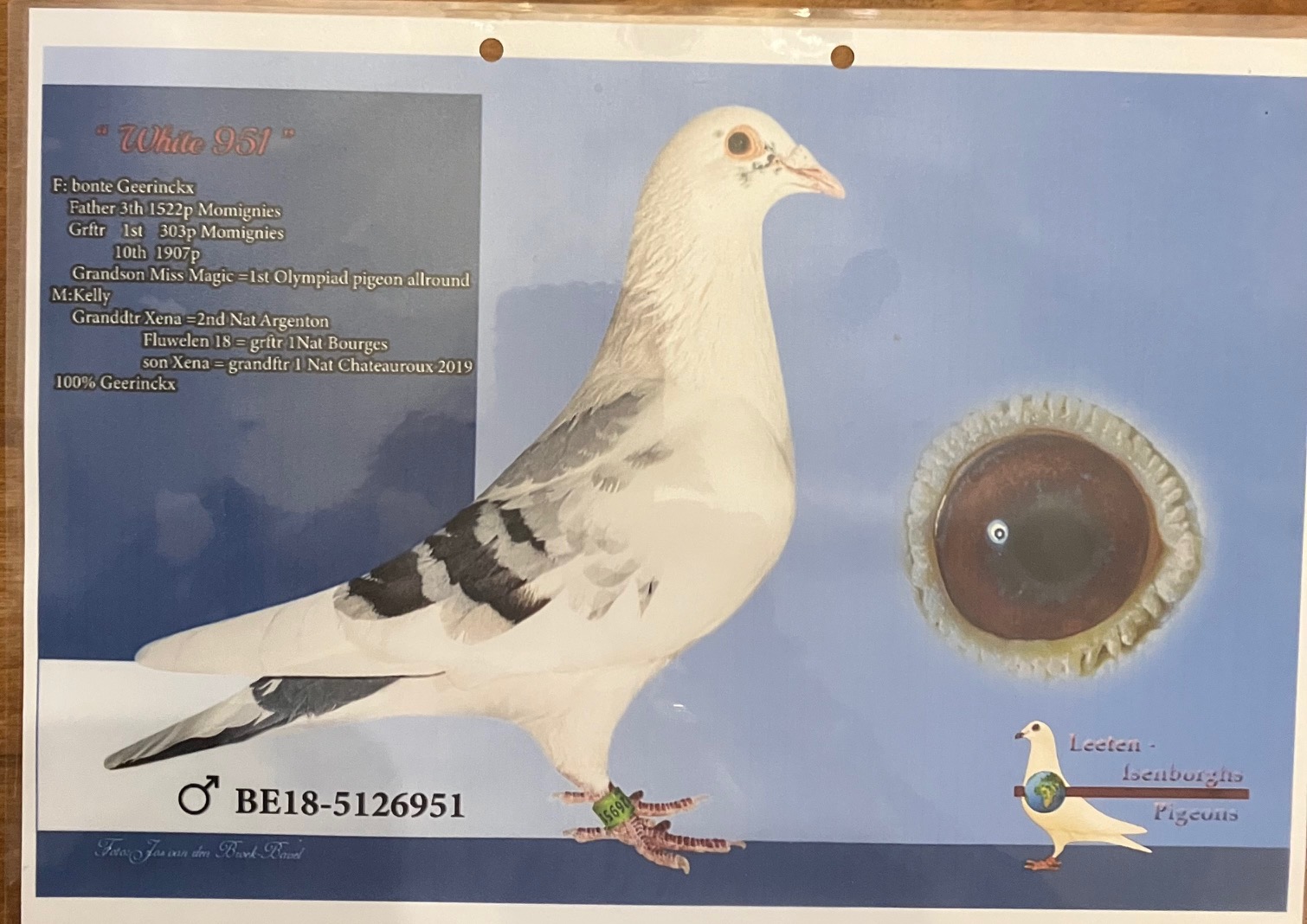 ROZIERS/GEERINCKX/MEUUWKE 12