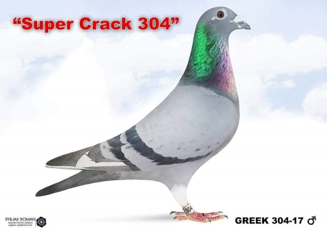 ARPU 25753-26 BB HEN