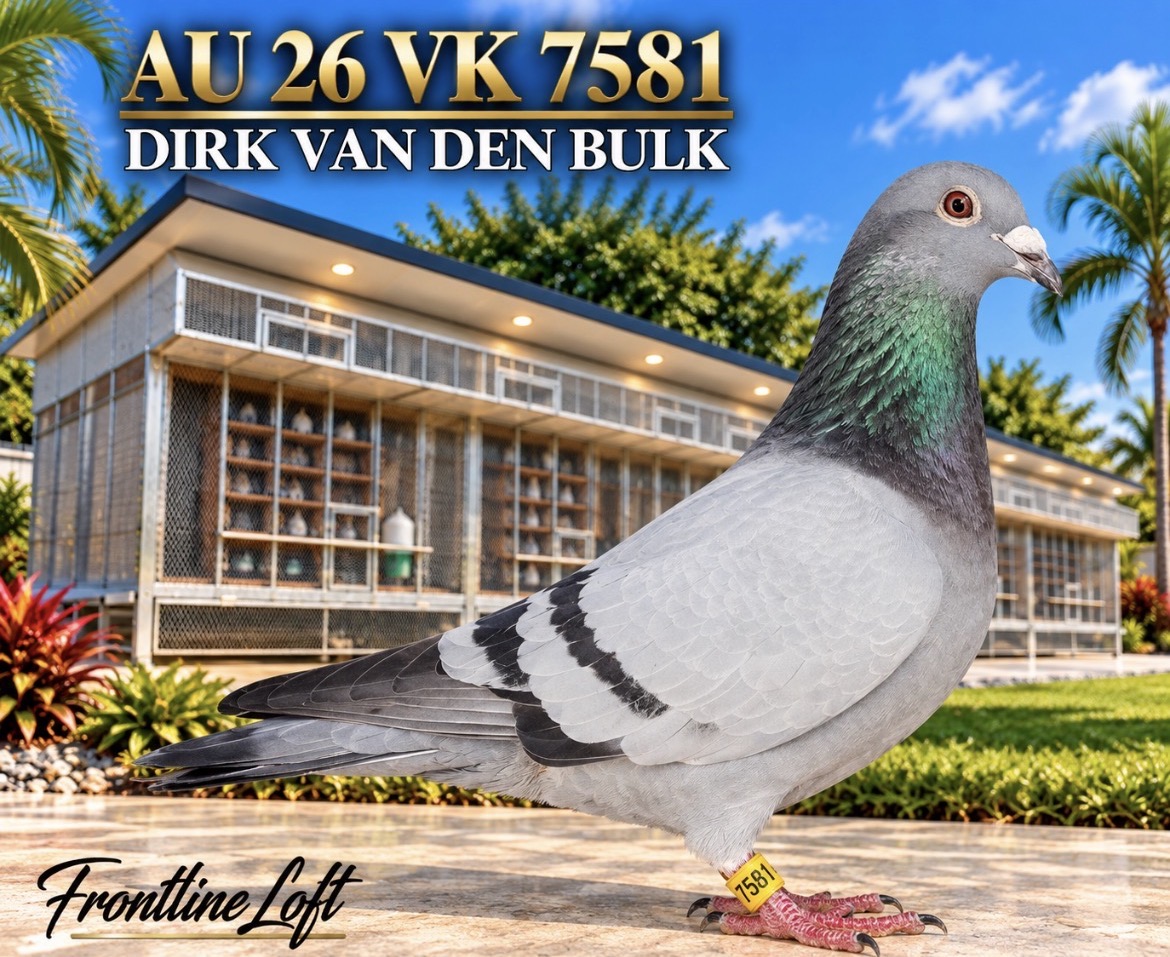 DIRK VAN DEN BULK