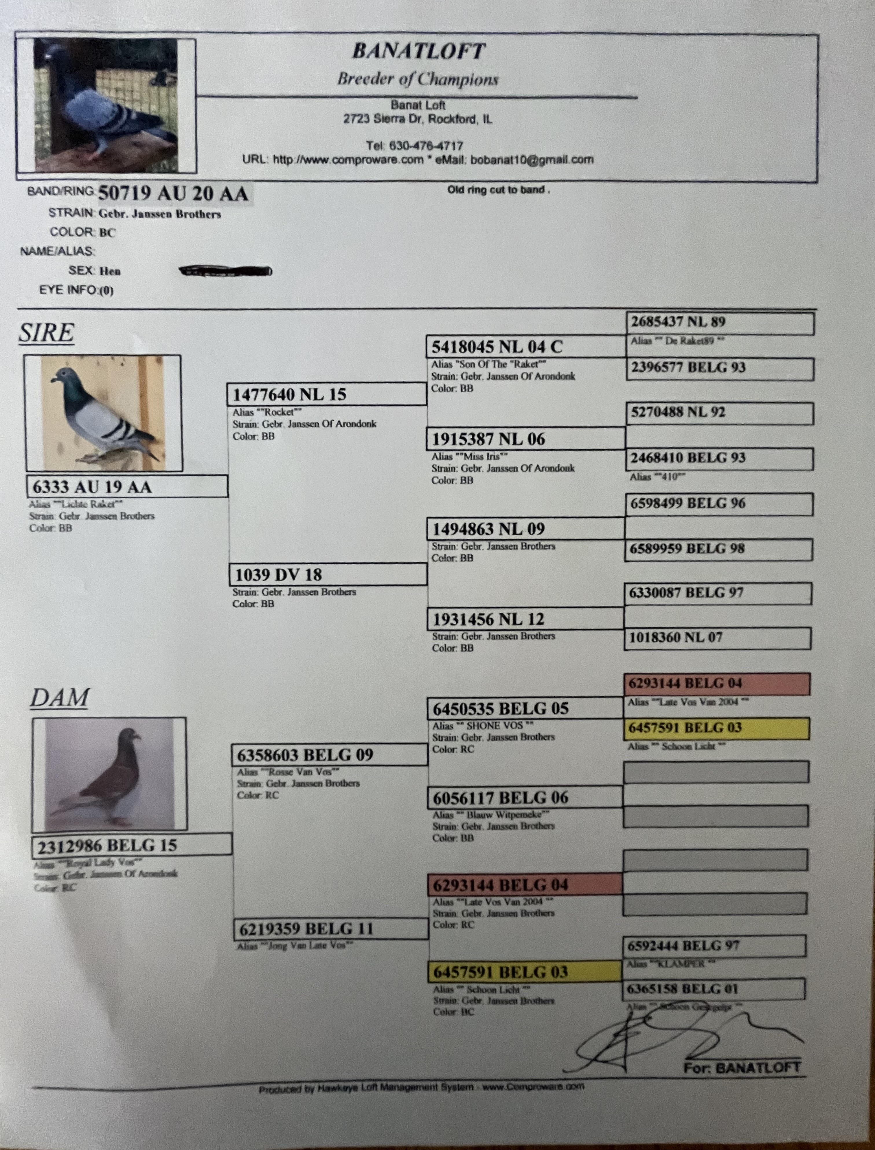 Preview Image 2