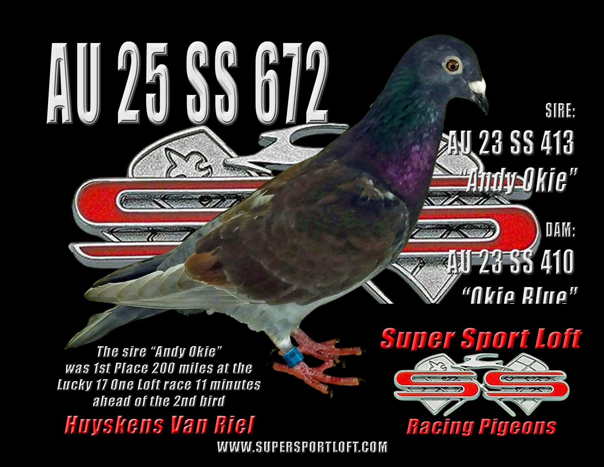 AU 25 SS 672 HVR hen from OLR Winner 100% Huyskens Van Riel