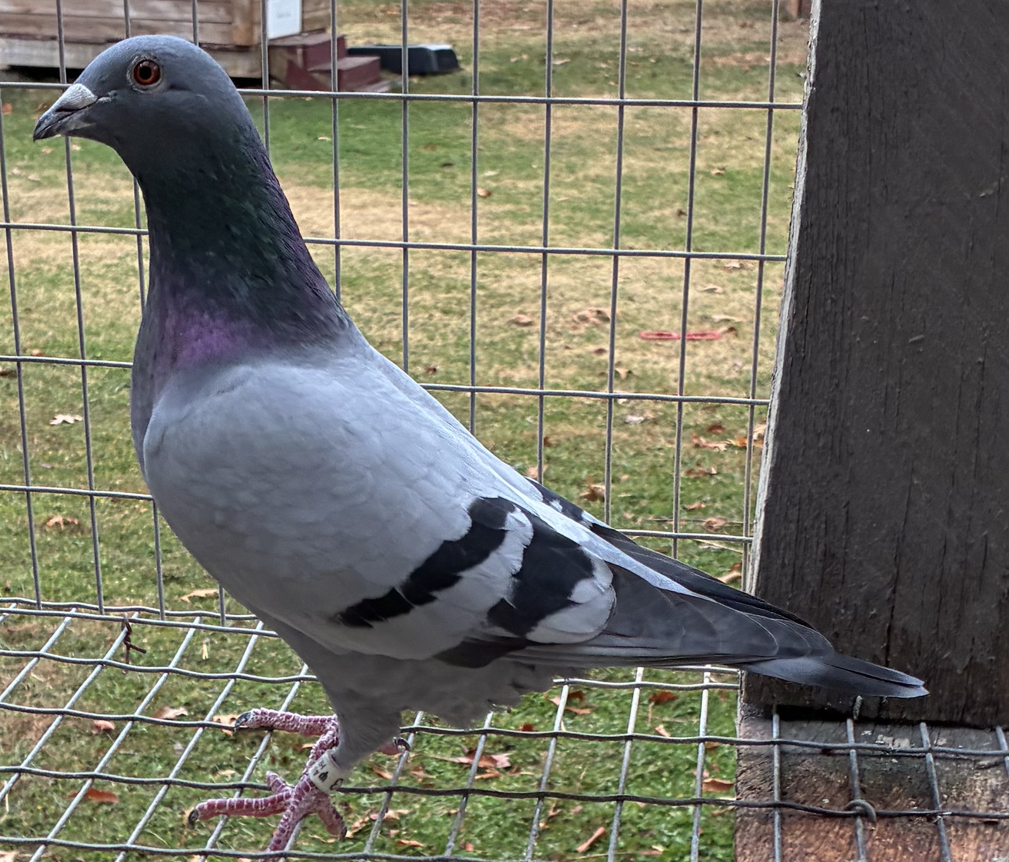 Shenandoah Loft donation