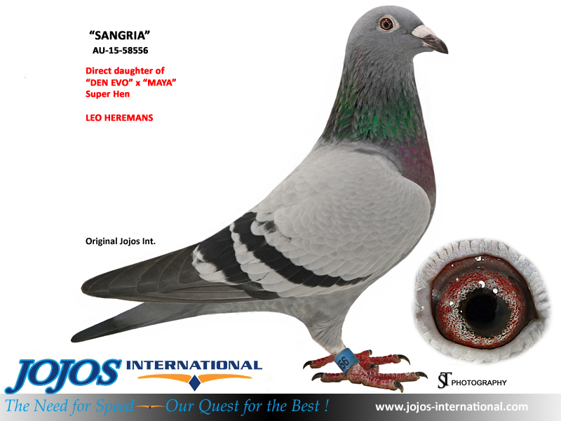 LOT # 32 AU-20-78463