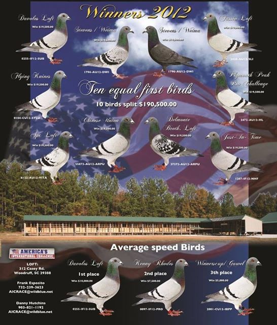 FLORIDA ONLY - 3 BIRD BOX