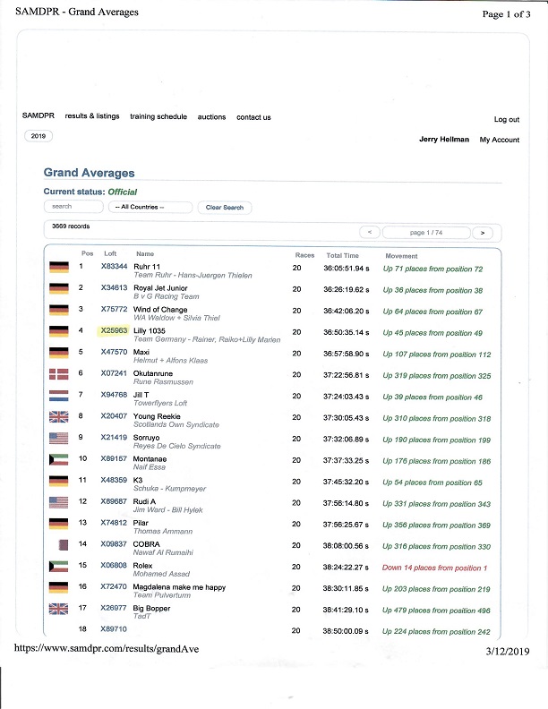 Preview Image 4