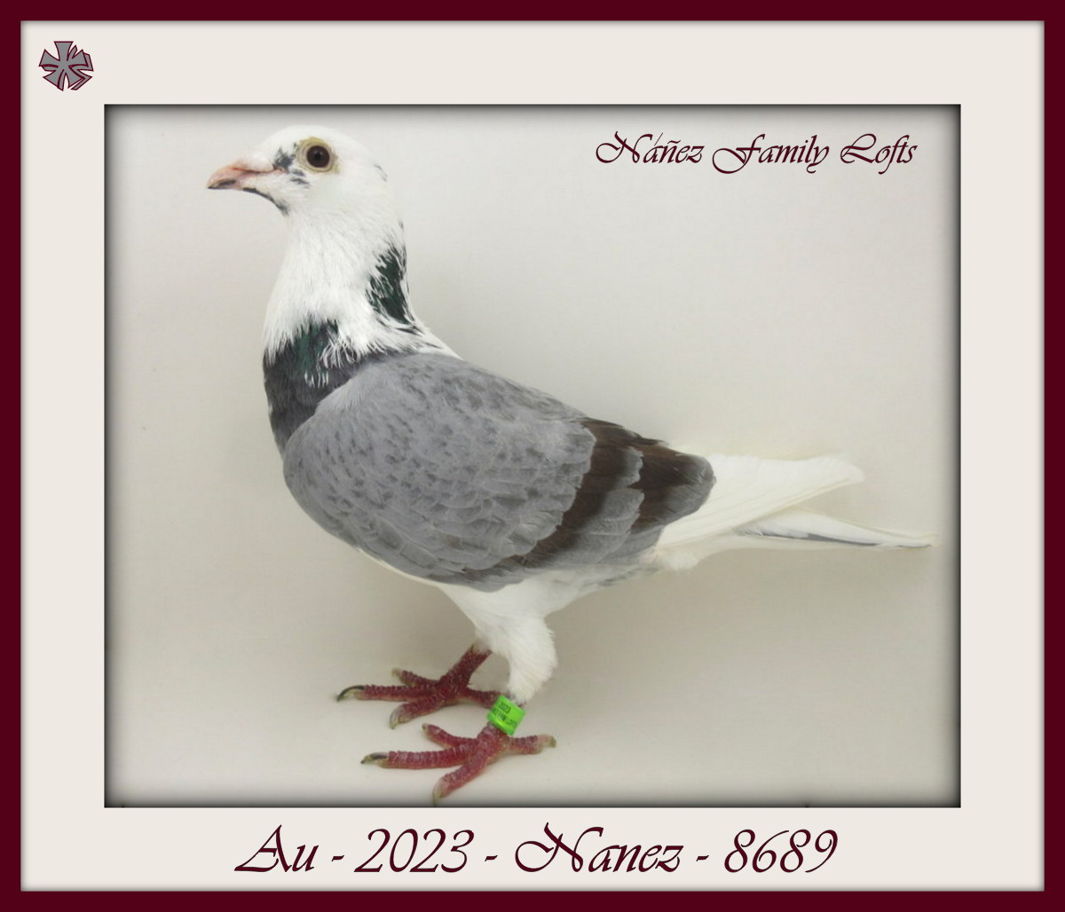 AU 2023 NANEZ 8689
