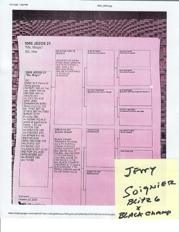 Preview Image 13