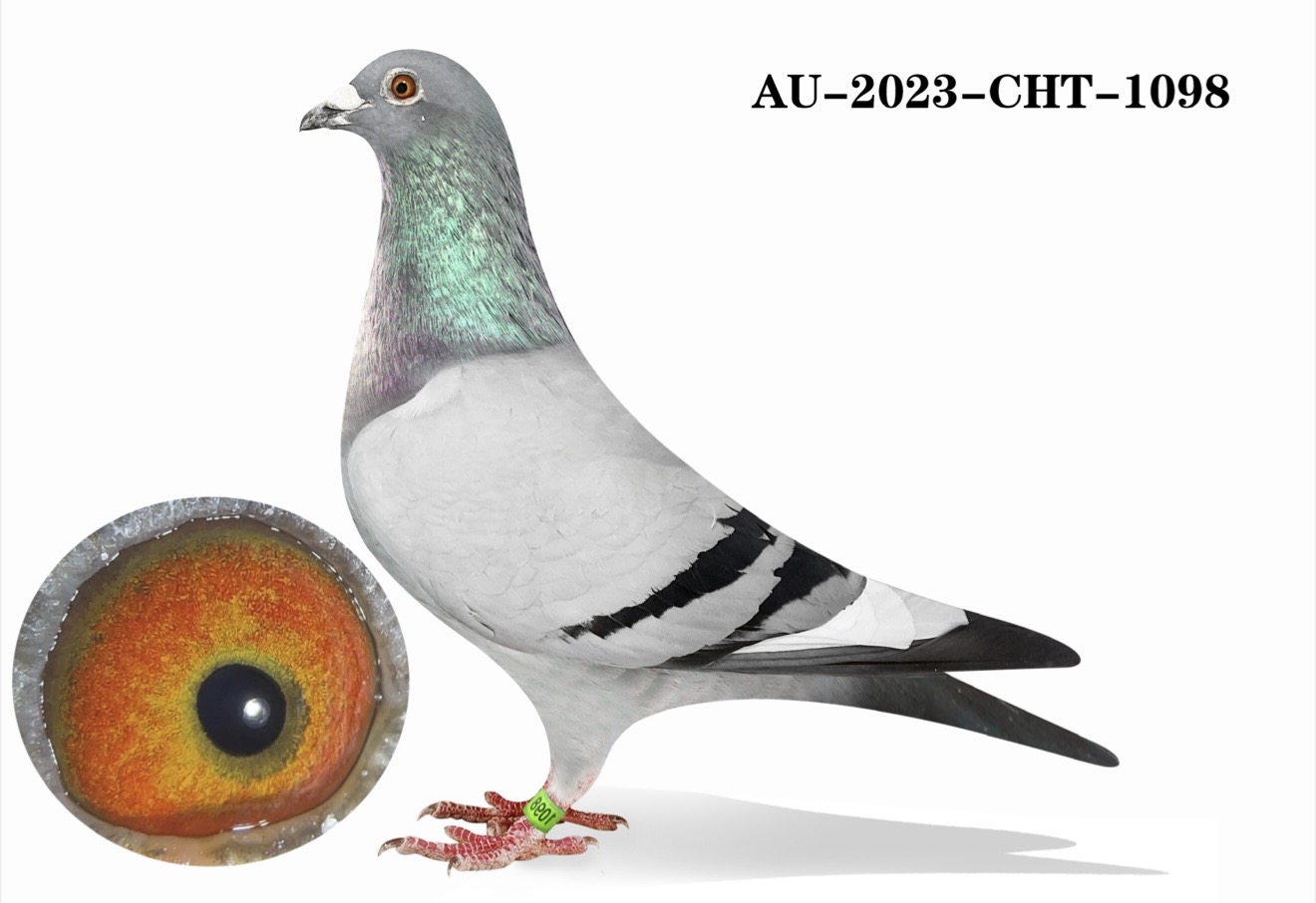 AU-23-CHT-1098
