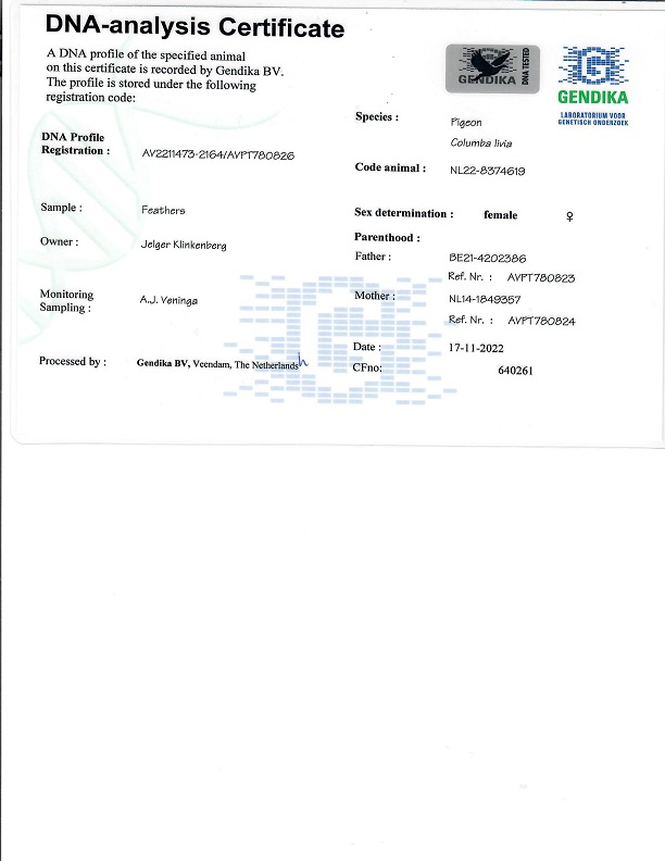 Preview Image 7