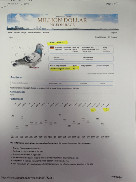 Preview Image 6