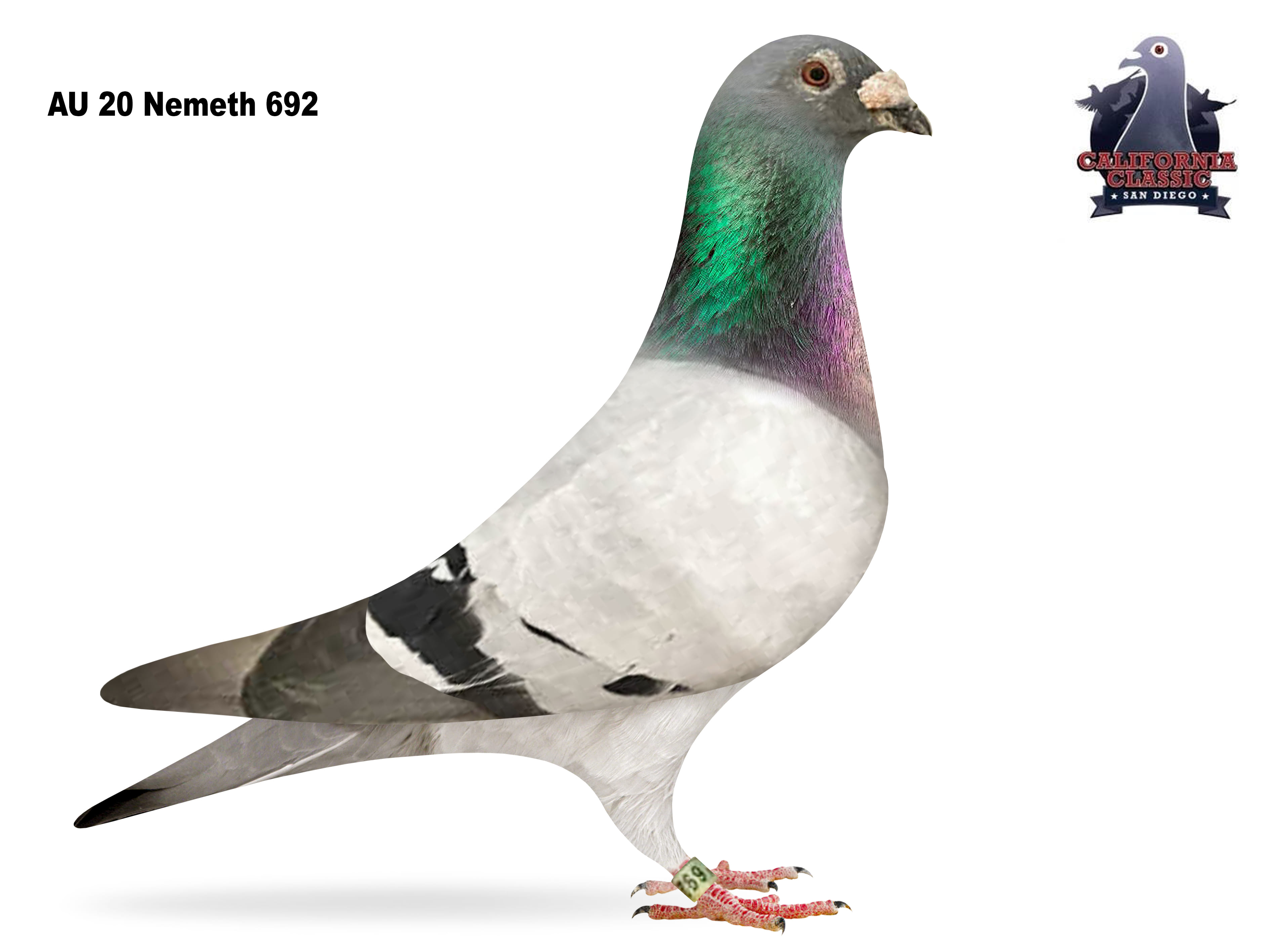 Lot 15. 2020 Nemeth 692 Cock 