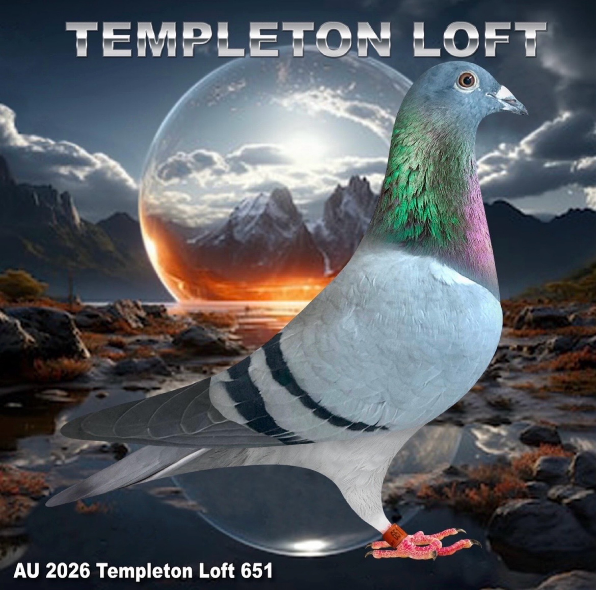 Templeton loft2026/651 Full DNA