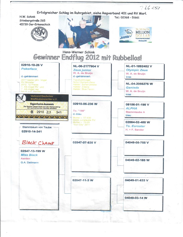 Preview Image 7