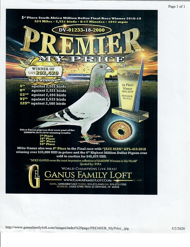 Preview Image 10