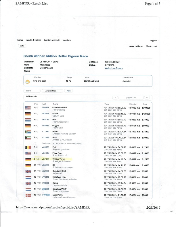 Preview Image 4
