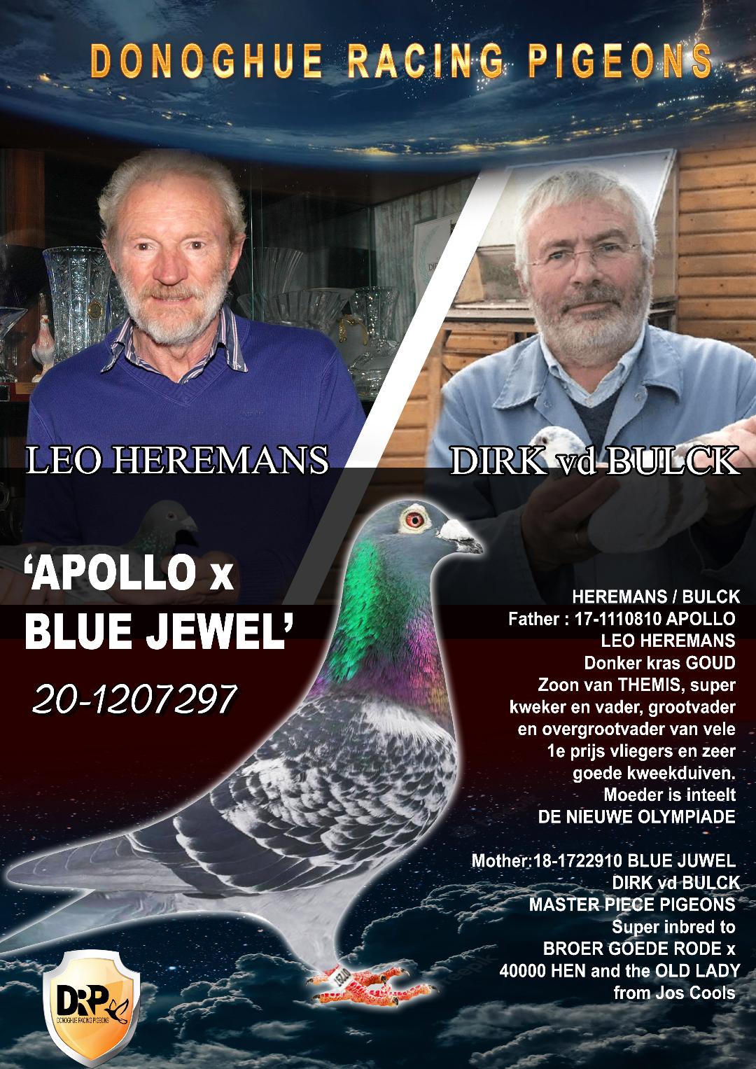 LEO HEREMANS X DIRK VD BULCK