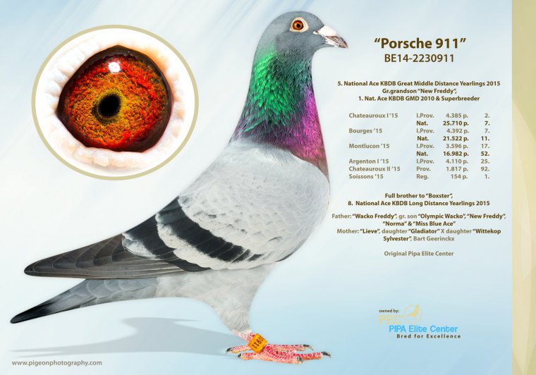 AU-24-RCM23 BBC