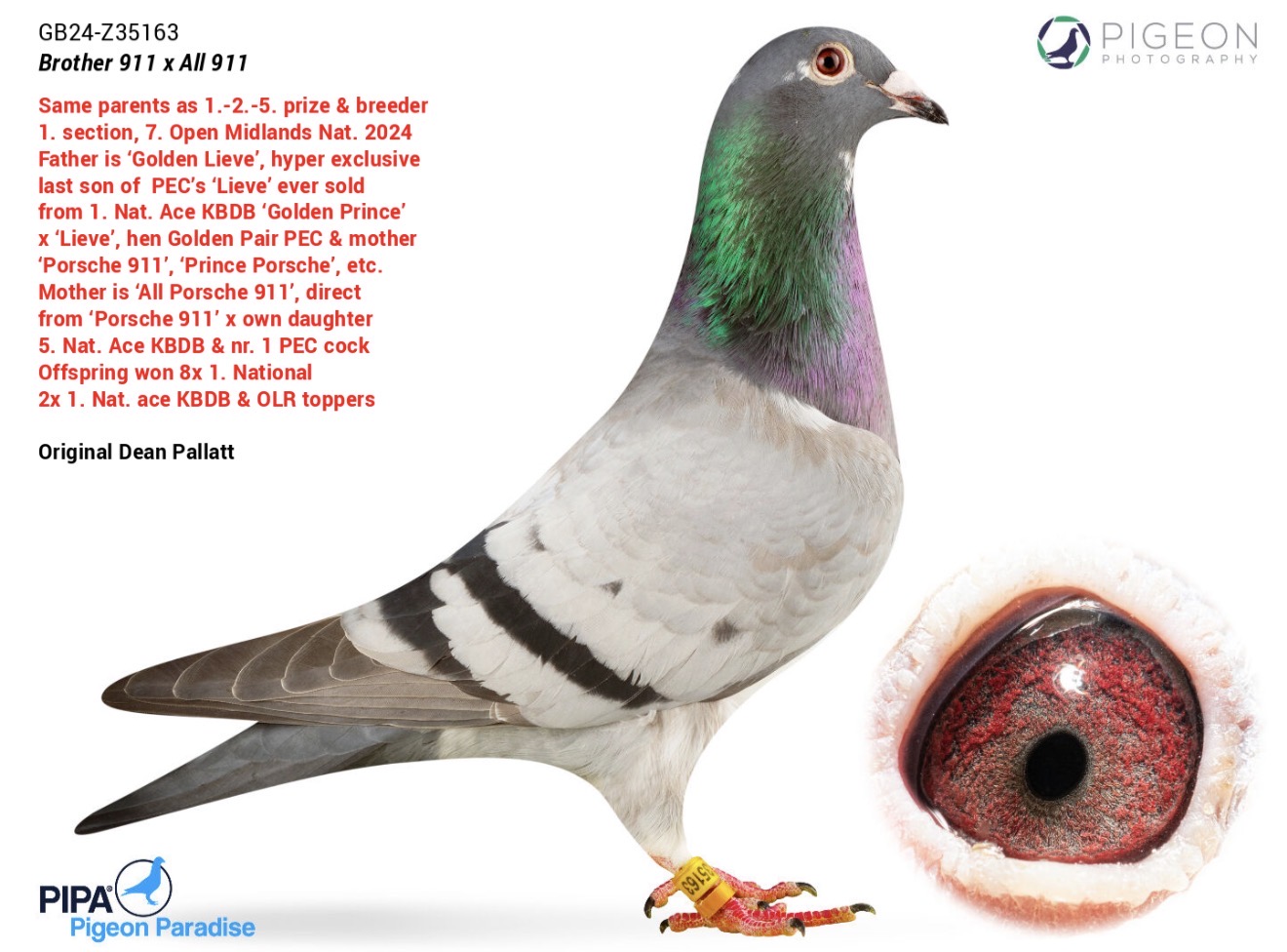 Golden Lieve 163