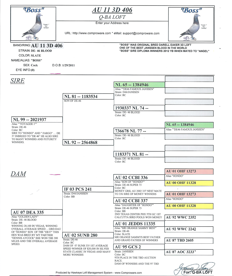 Preview Image 4