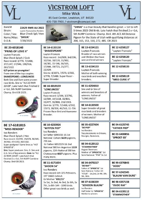 Preview Image 7