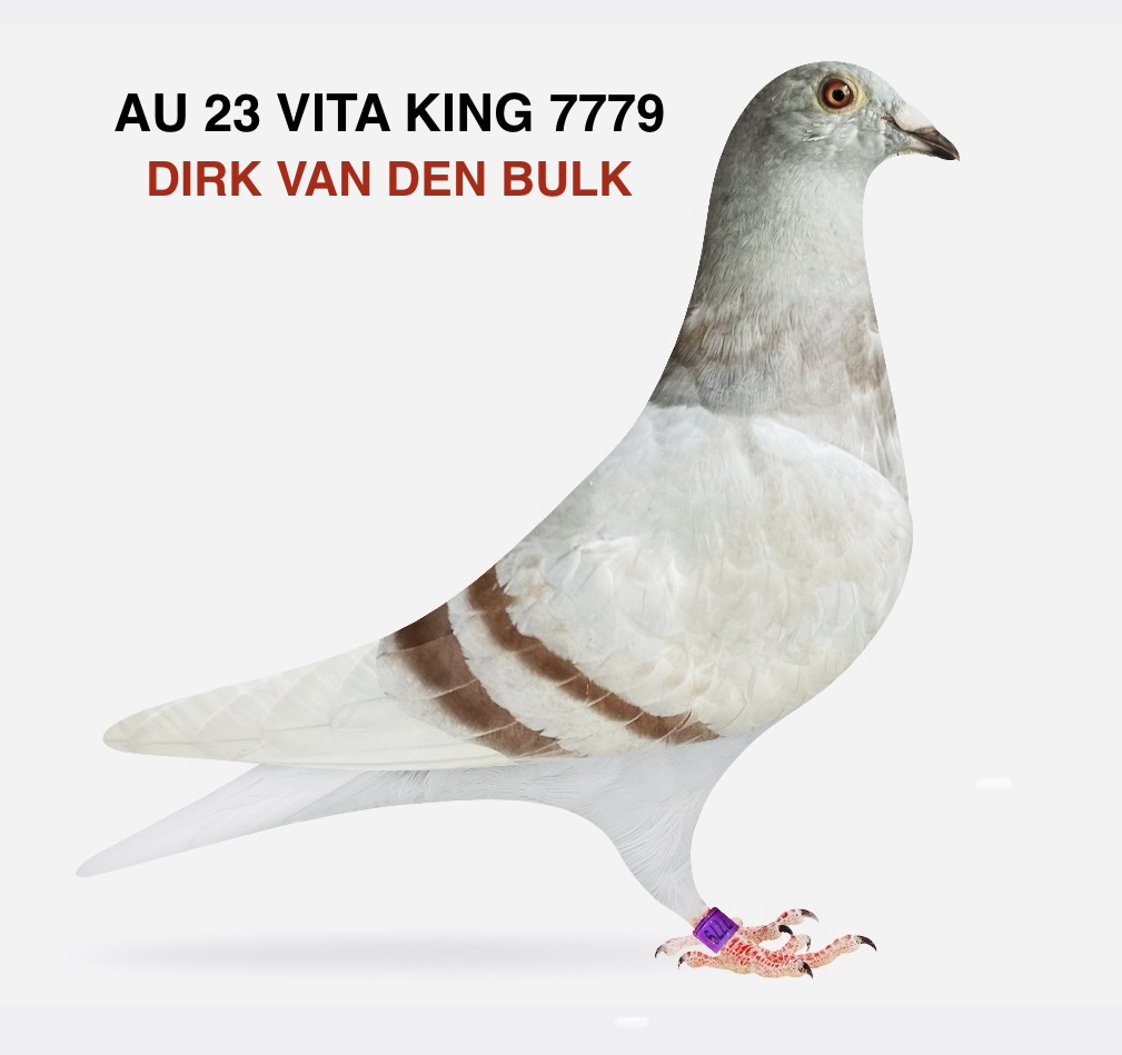 DIRK VAN DEN BULK