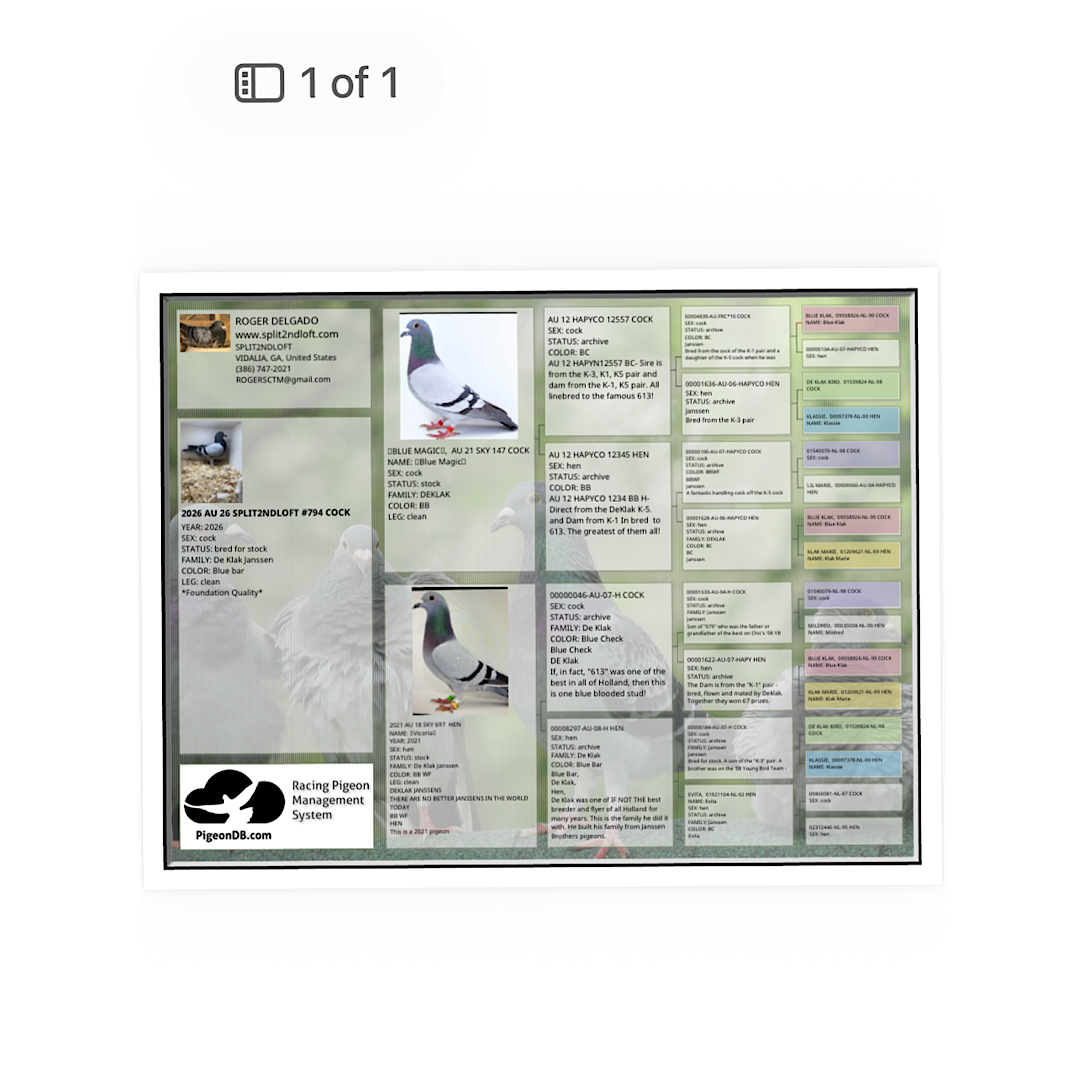 Preview Image 2