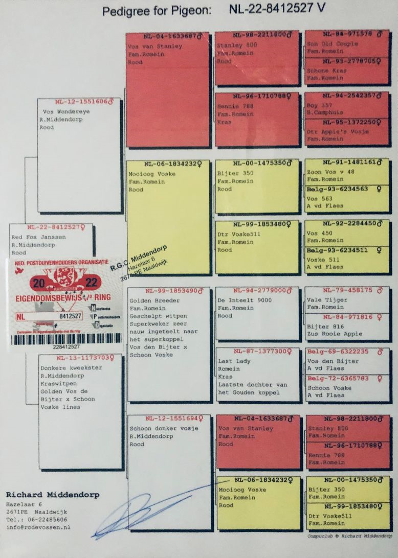 Preview Image 4